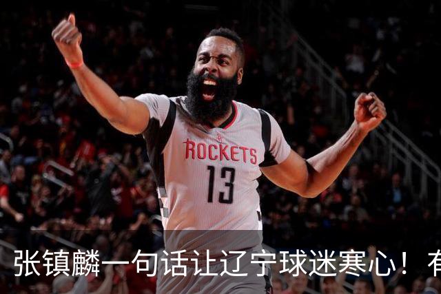张镇麟一句话让辽宁球迷寒心！有些话不能说得太直白，耗子尾汁吧